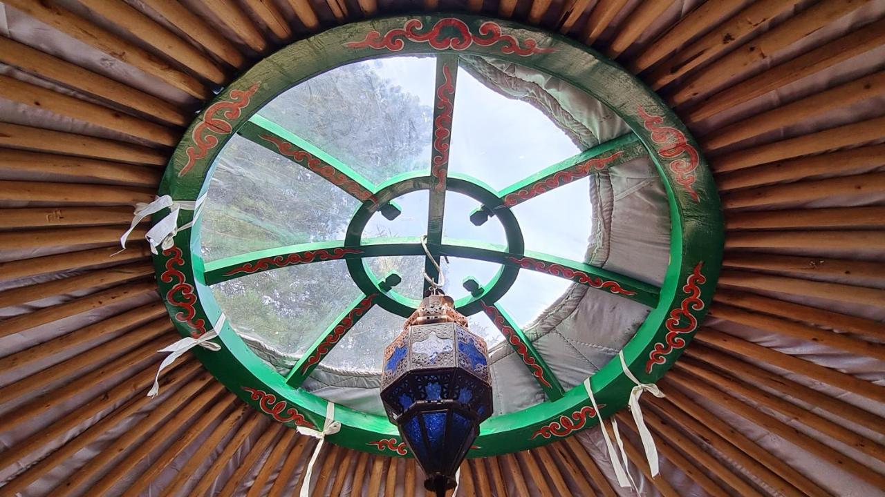 The Tall Pines Yurt Helmsdale Exterior foto