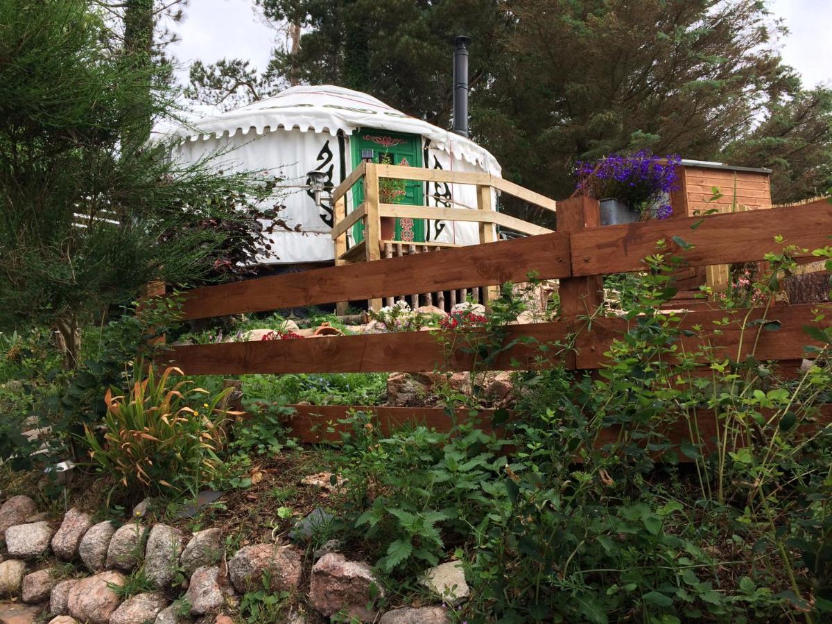 The Tall Pines Yurt Helmsdale Exterior foto
